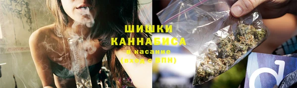 прущие крисы Бородино