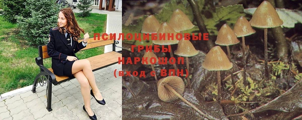 ECSTASY Медвежьегорск