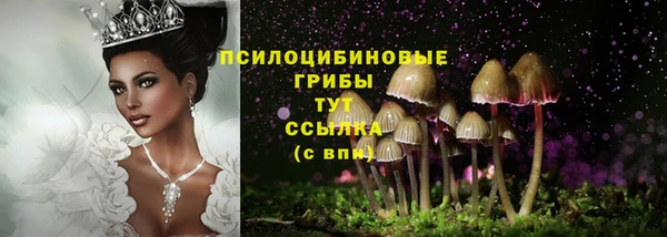 марки nbome Медногорск