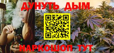 МДПВ Новодвинск