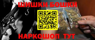 прущие грибы Новозыбков