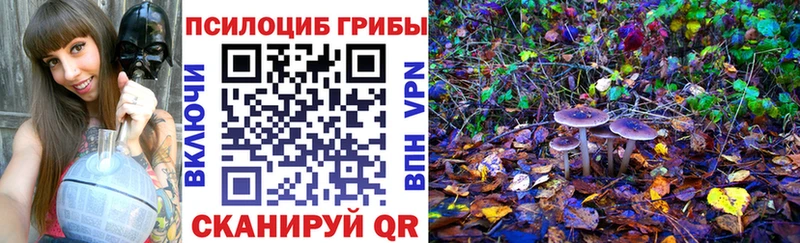 продажа наркотиков  Дивногорск  Псилоцибиновые грибы Magic Shrooms 