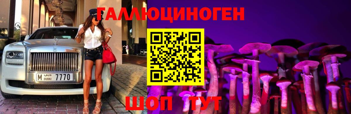 Псилоцибиновые грибы GOLDEN TEACHER  Дивногорск  Псилоцибиновые грибы Magic Shrooms 